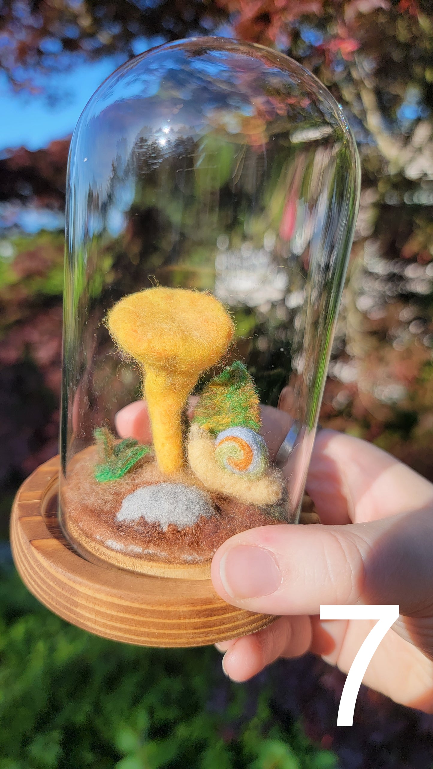 Citrus felt terrariums
