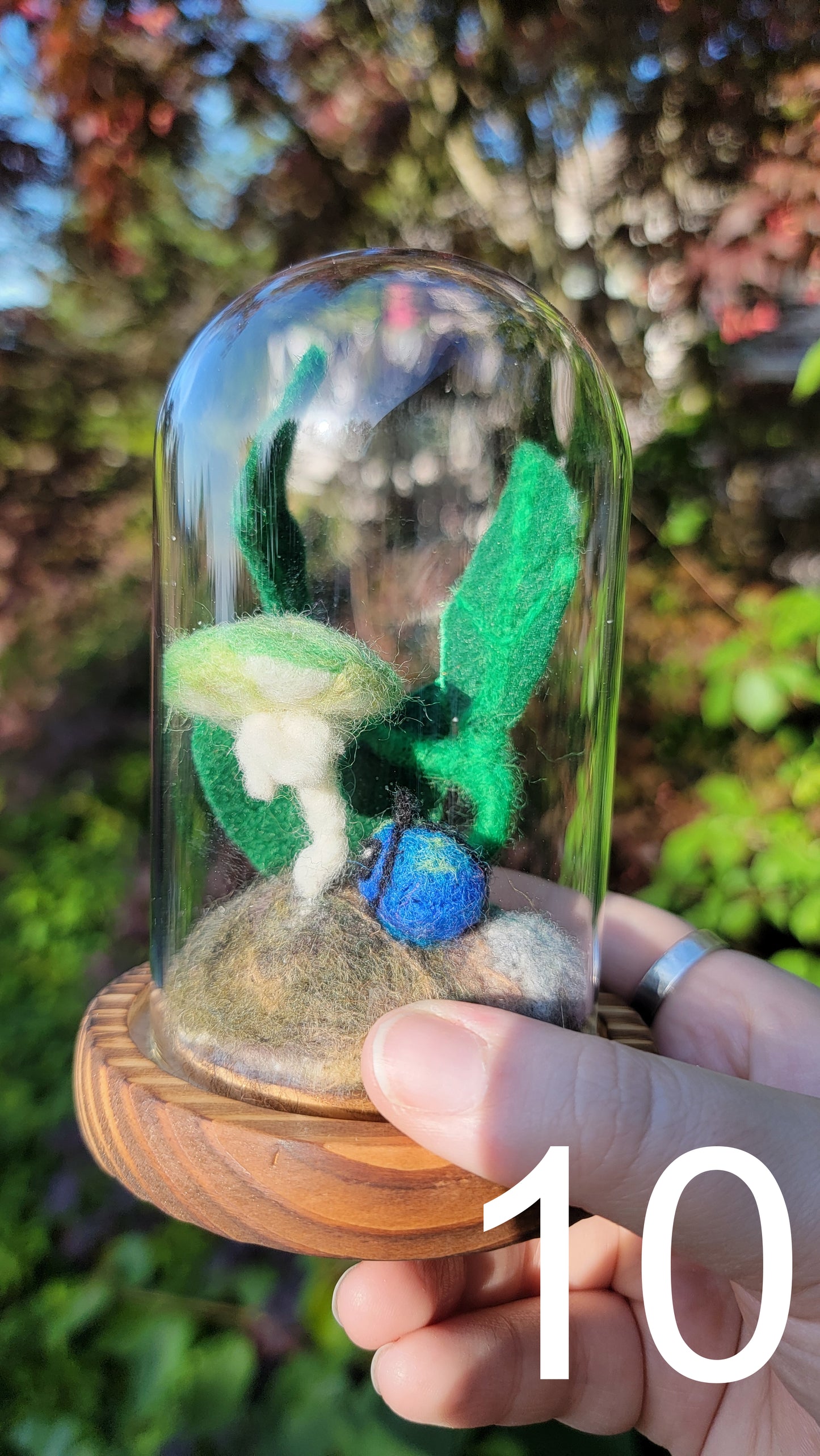 Citrus felt terrariums