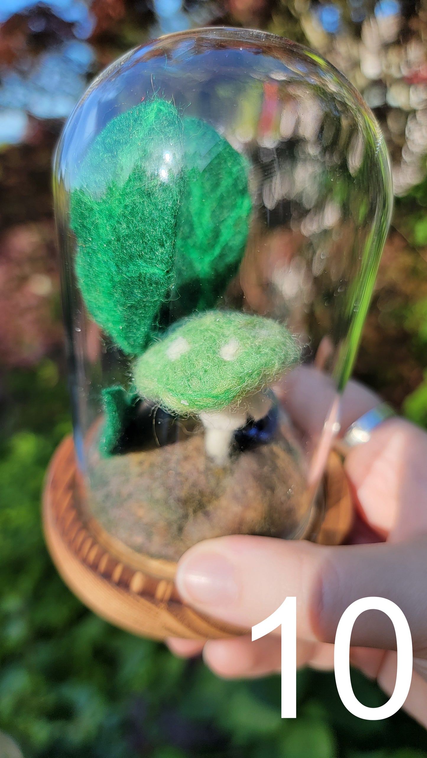 Citrus felt terrariums