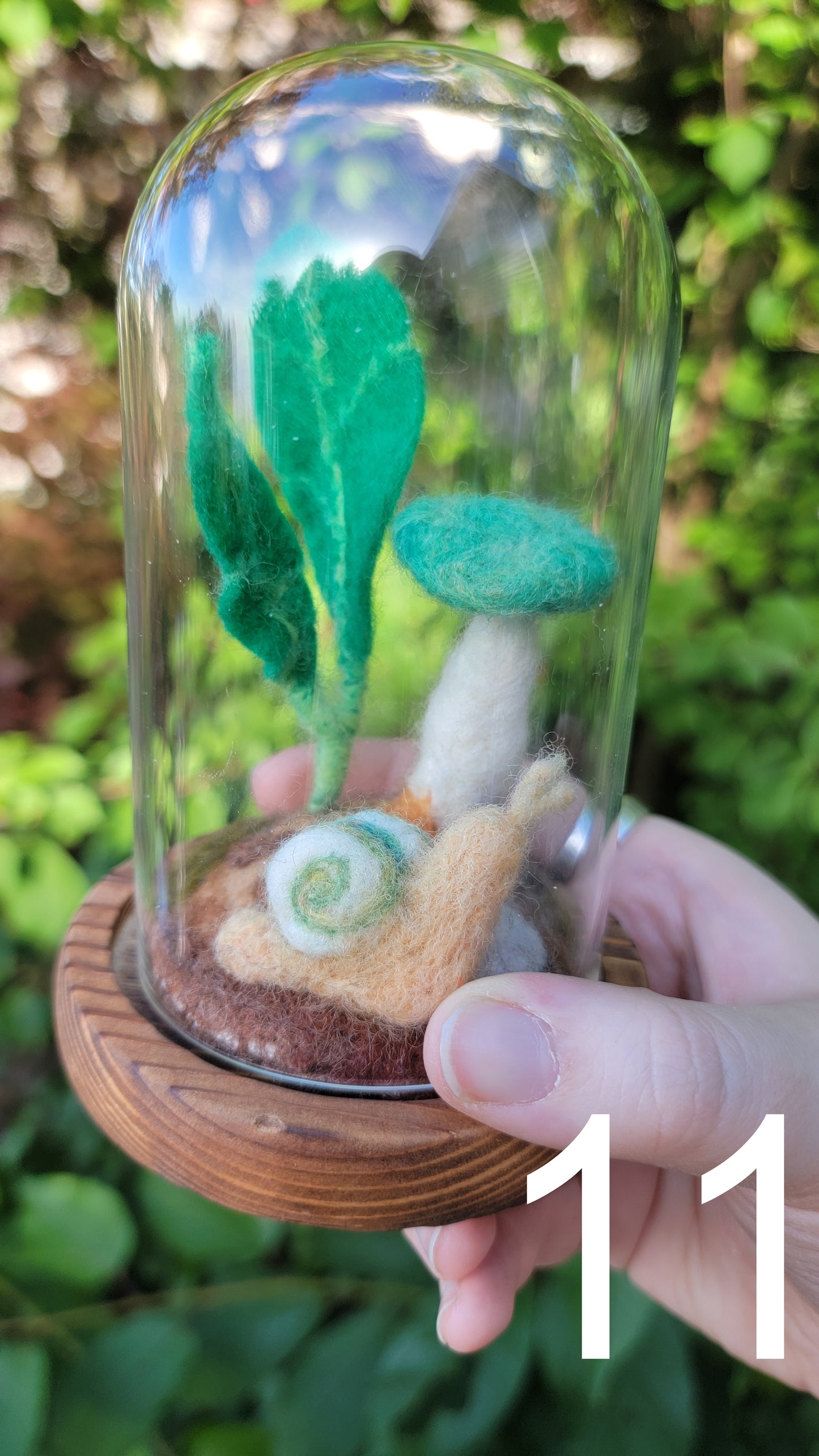 Seagrass felt terrariums