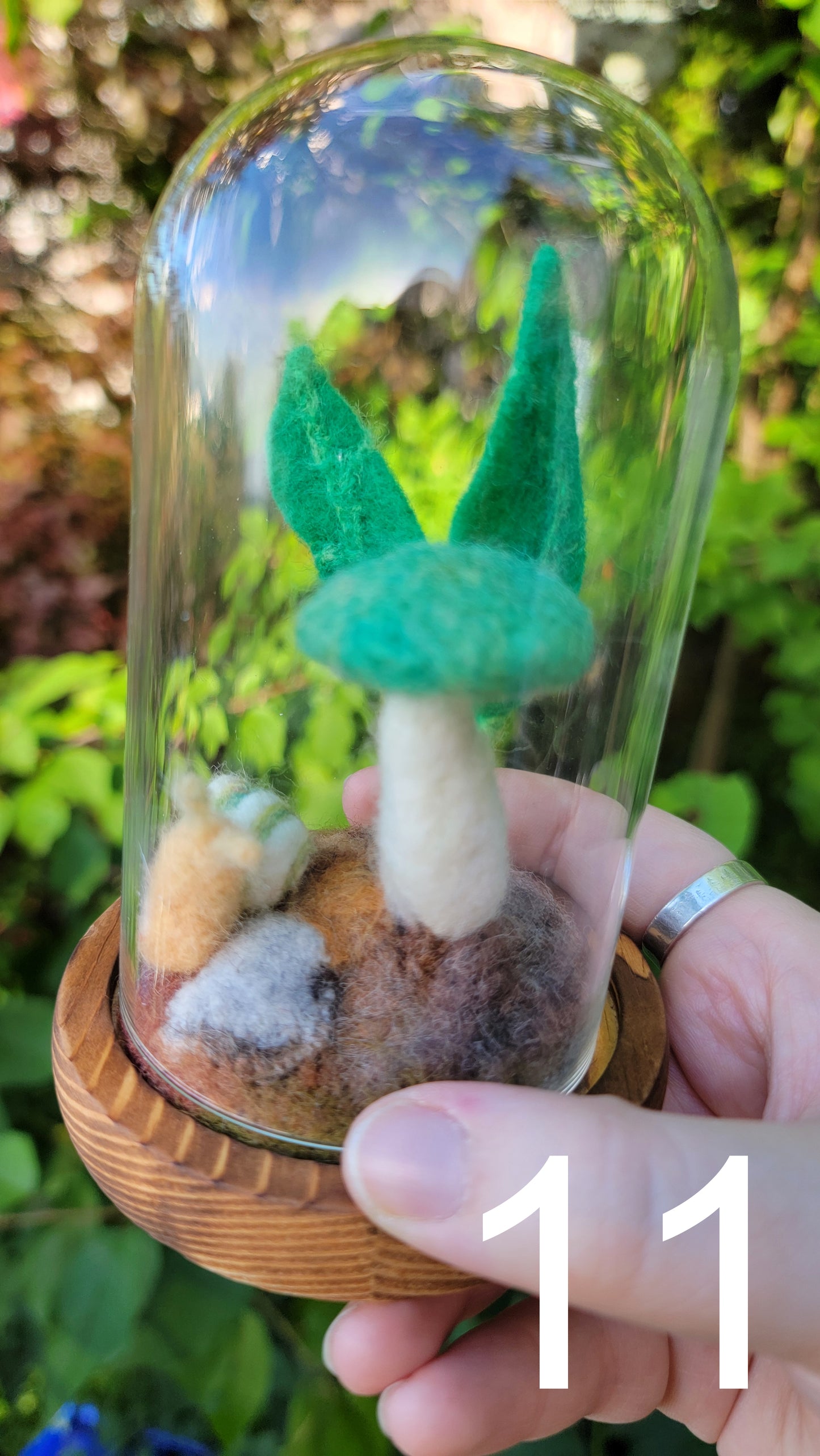 Seagrass felt terrariums