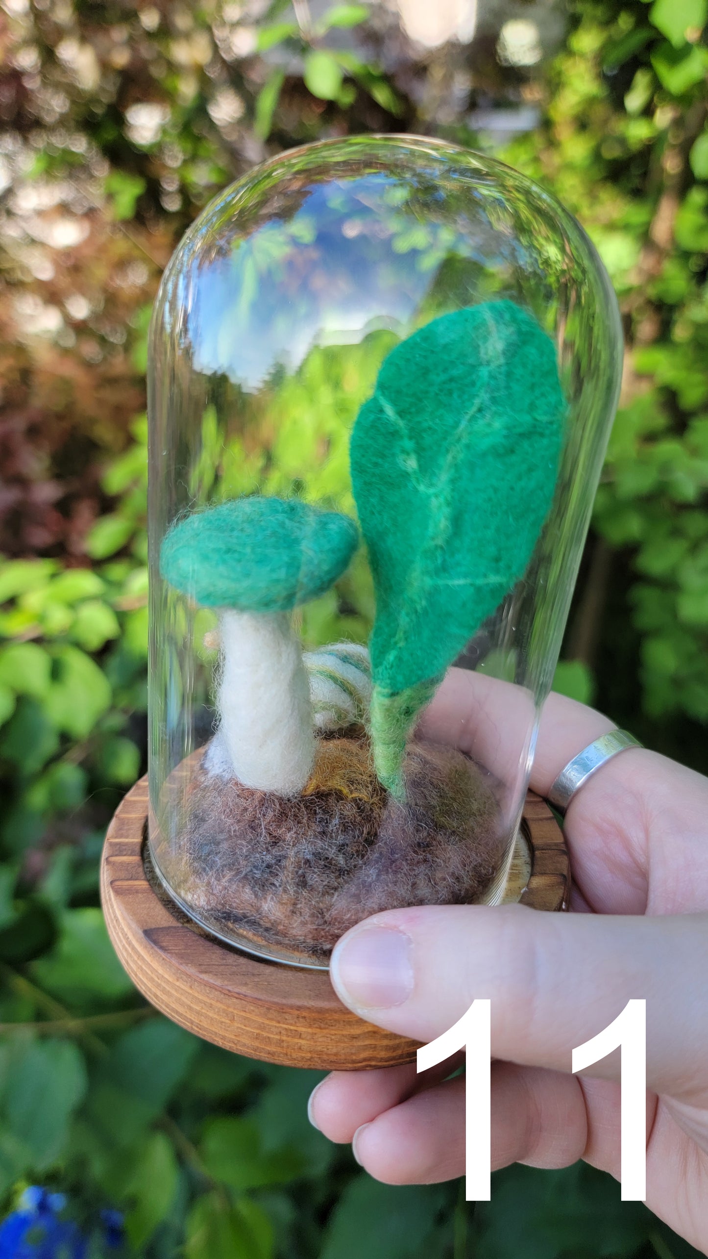 Seagrass felt terrariums