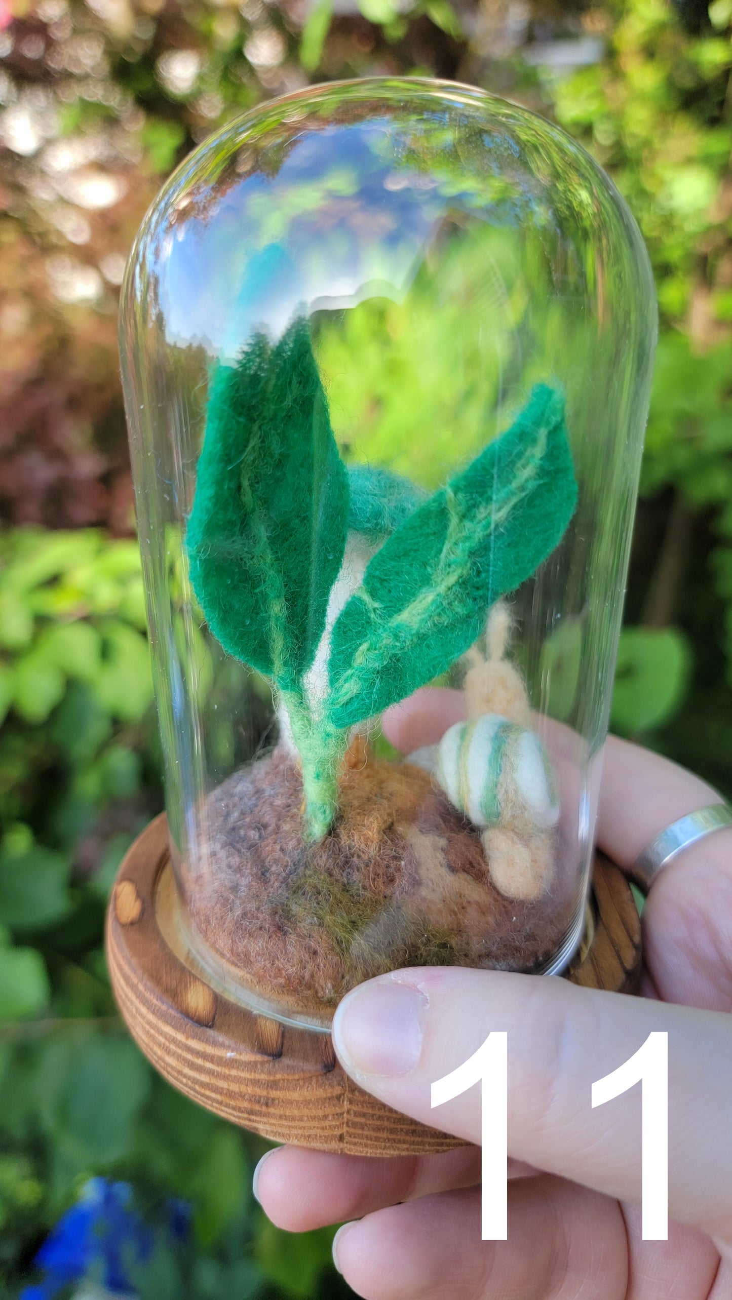 Seagrass felt terrariums