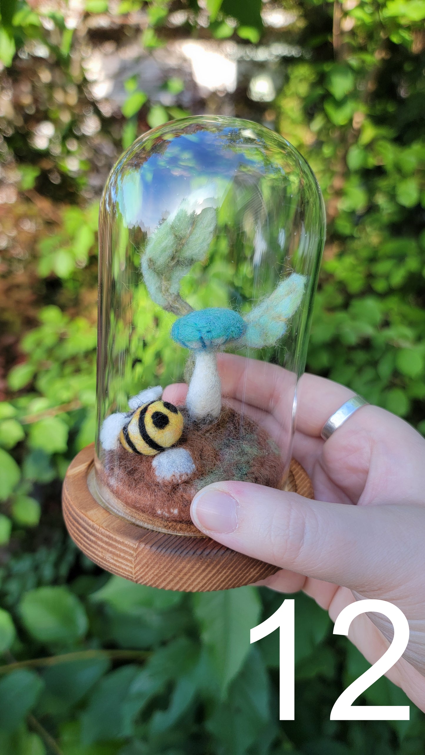 Seagrass felt terrariums
