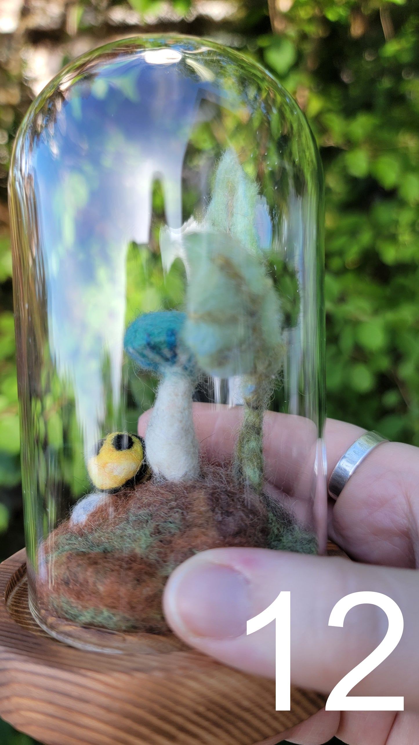 Seagrass felt terrariums