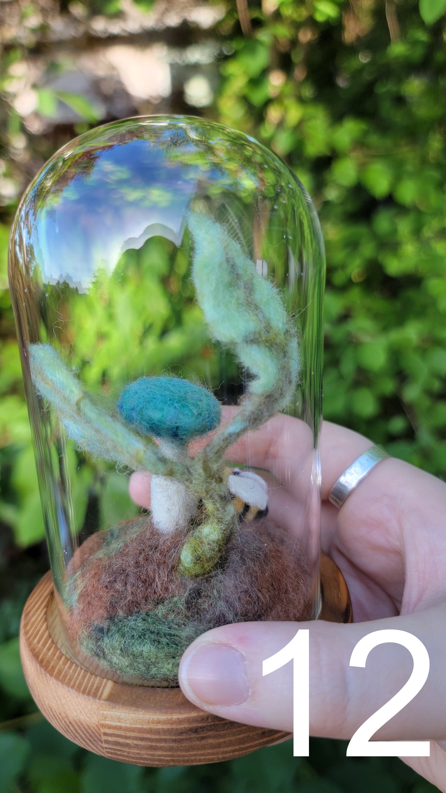 Seagrass felt terrariums