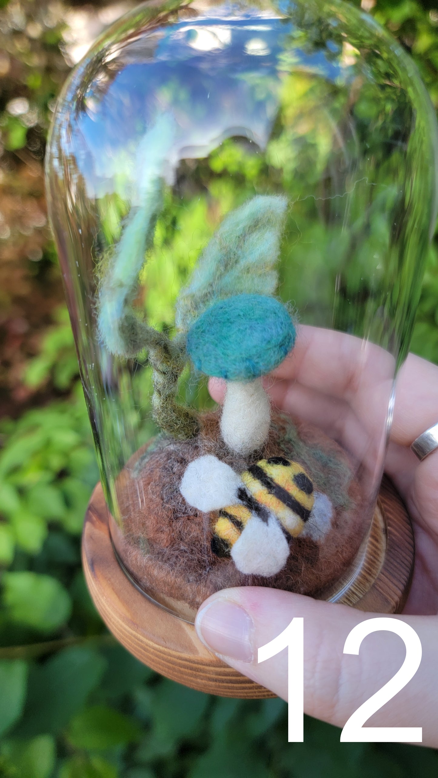 Seagrass felt terrariums