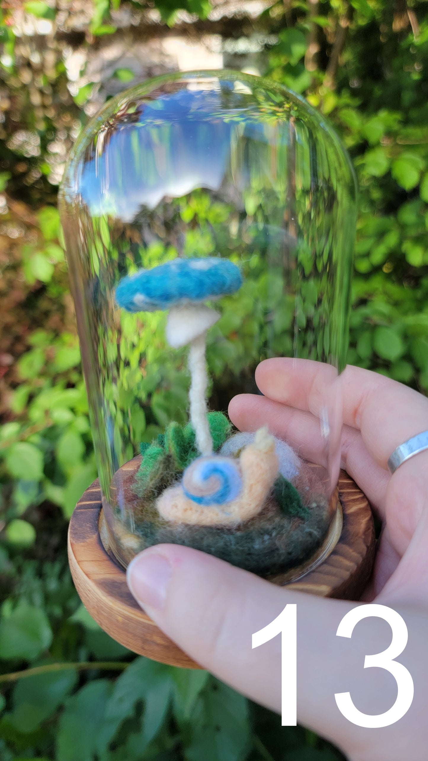 Seagrass felt terrariums