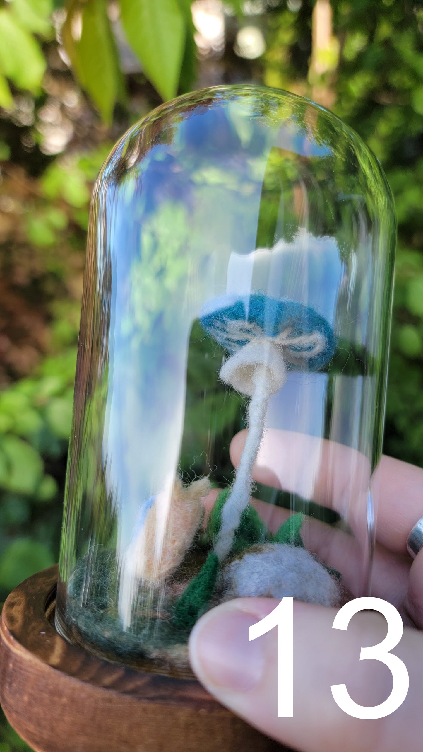 Seagrass felt terrariums