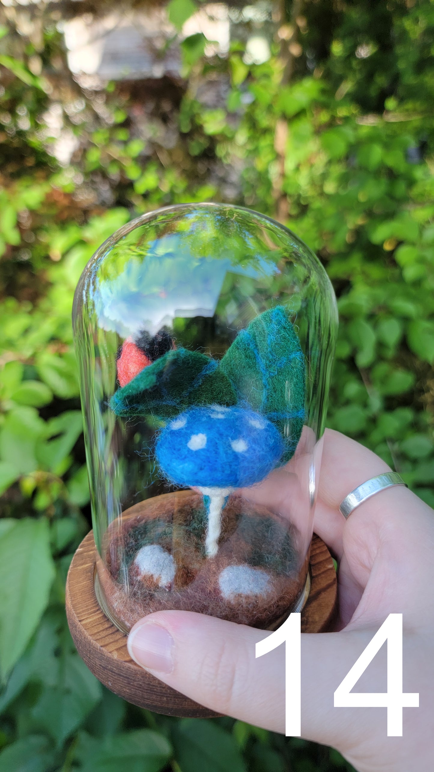 Seagrass felt terrariums