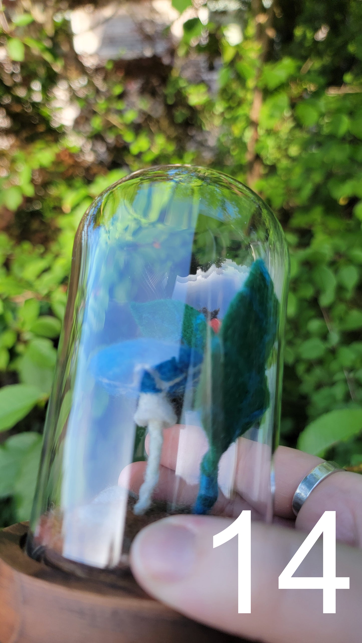 Seagrass felt terrariums