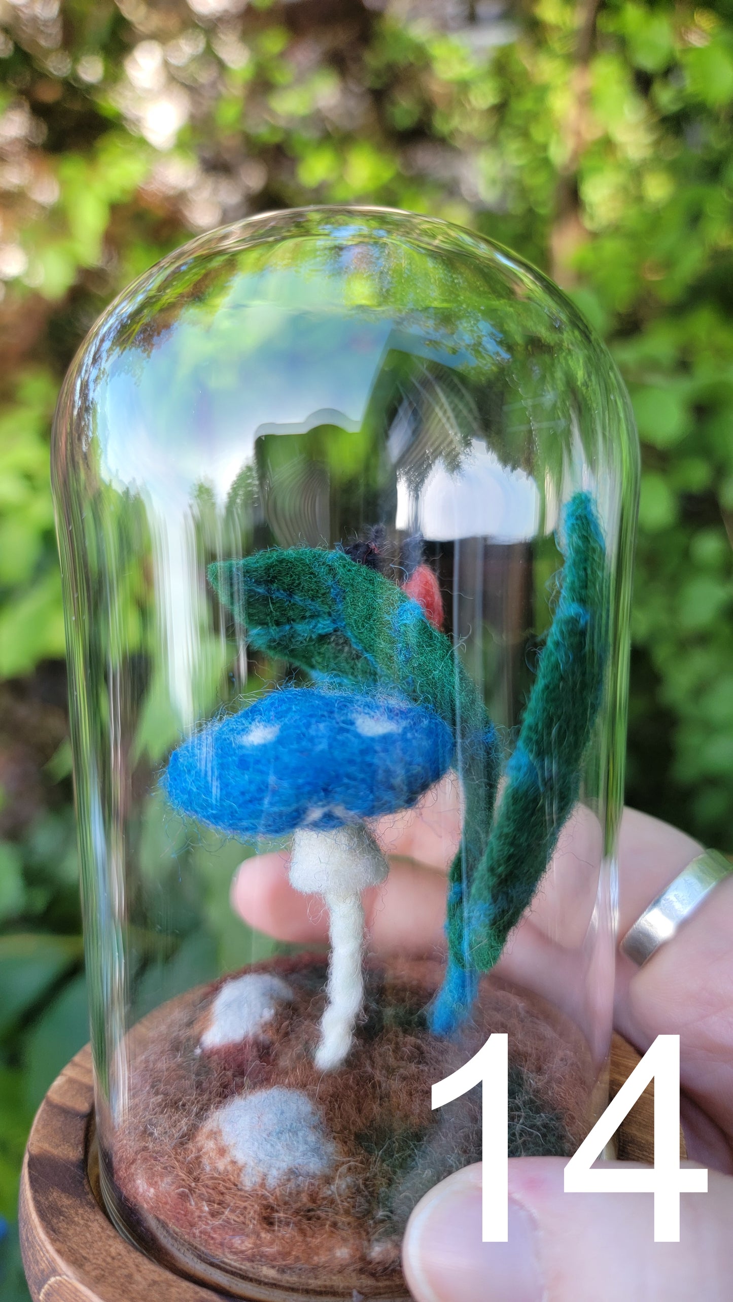 Seagrass felt terrariums