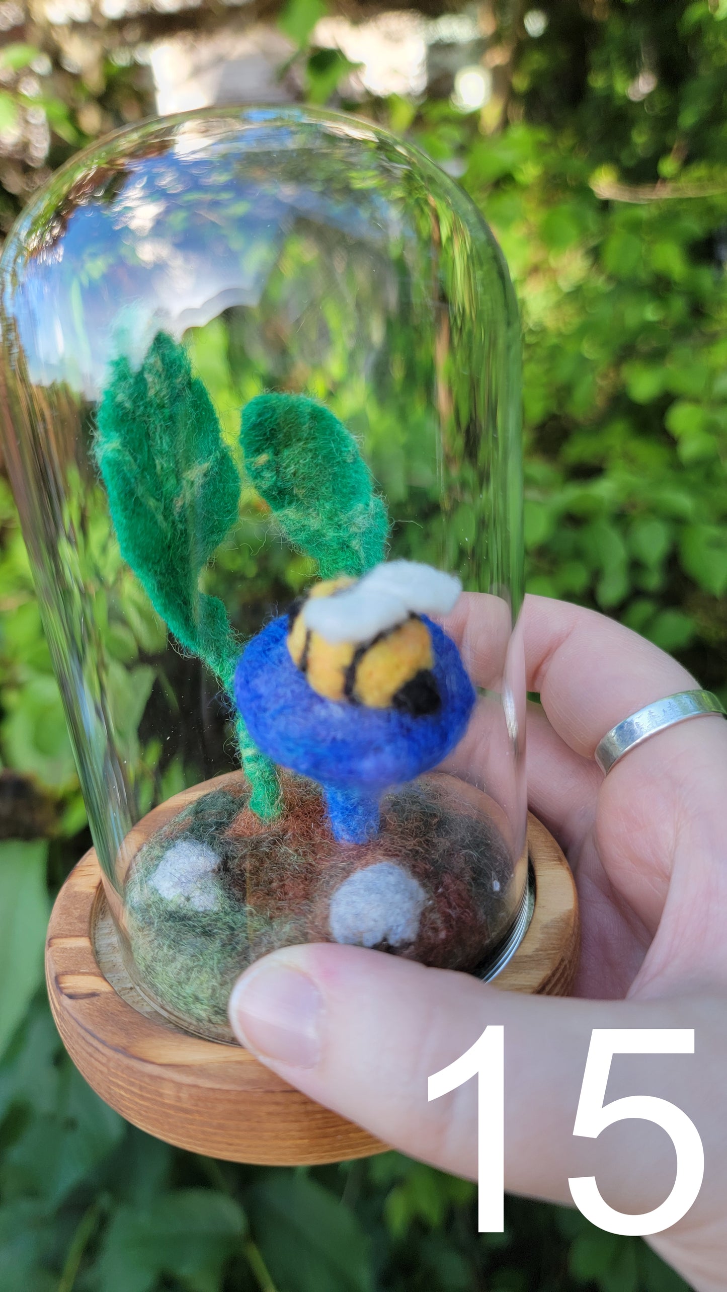 Seagrass felt terrariums
