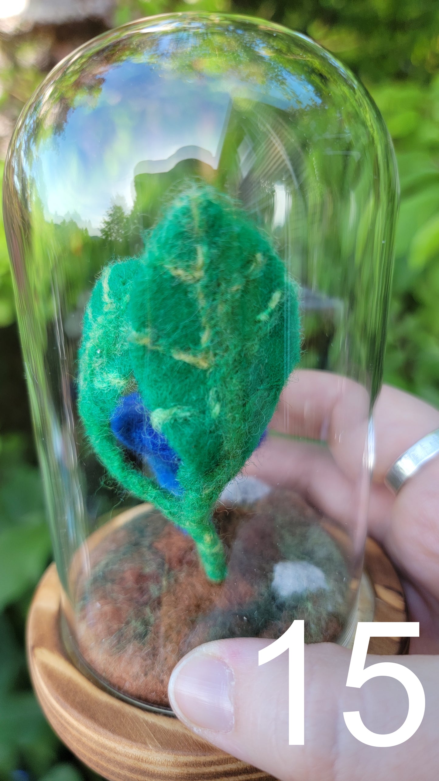 Seagrass felt terrariums