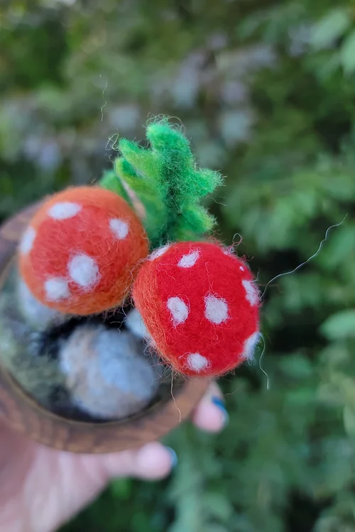 Needlefelted Mushroom Terrarium