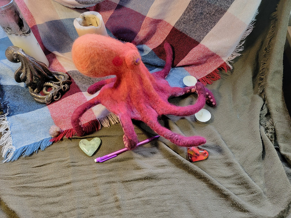 Octopus