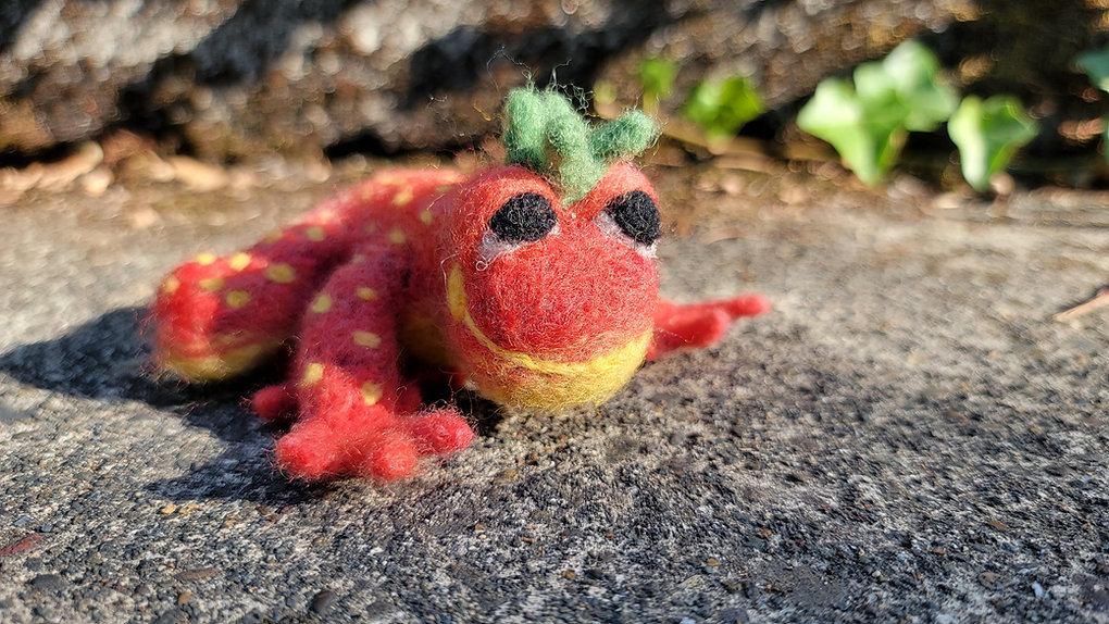 Strawberry Frog