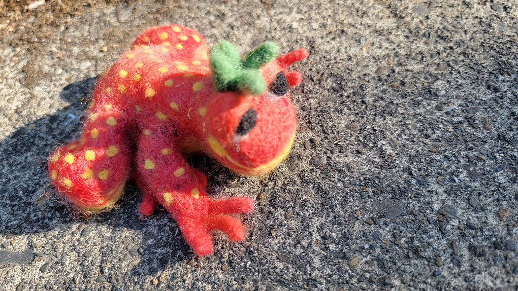 Strawberry Frog