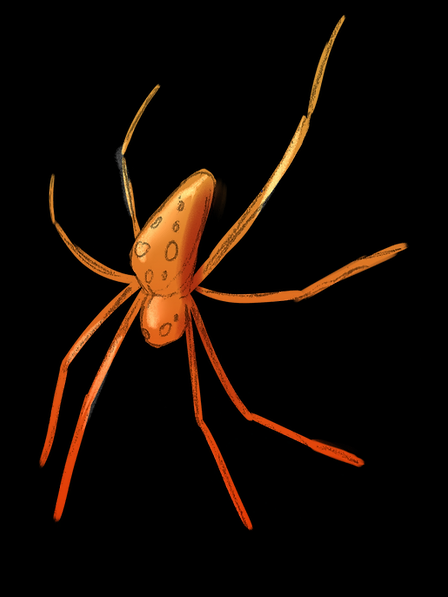 Translucent Orange Spider Sticker