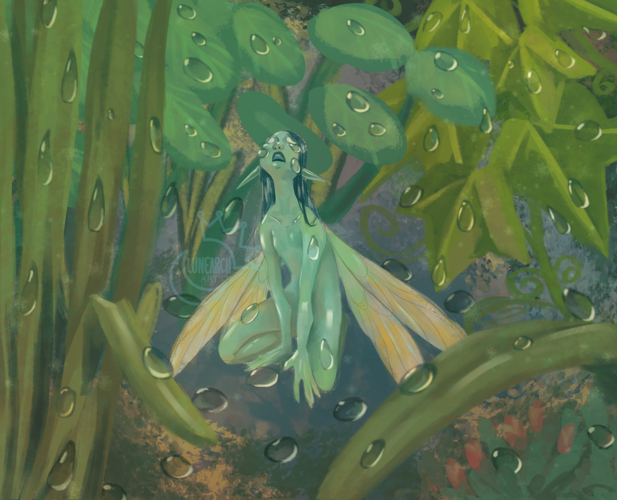 Raindrops