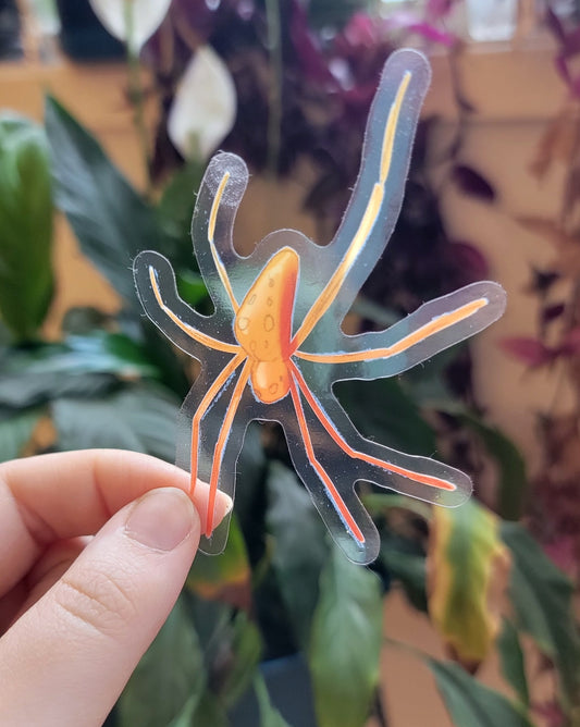 Translucent Orange Spider Sticker