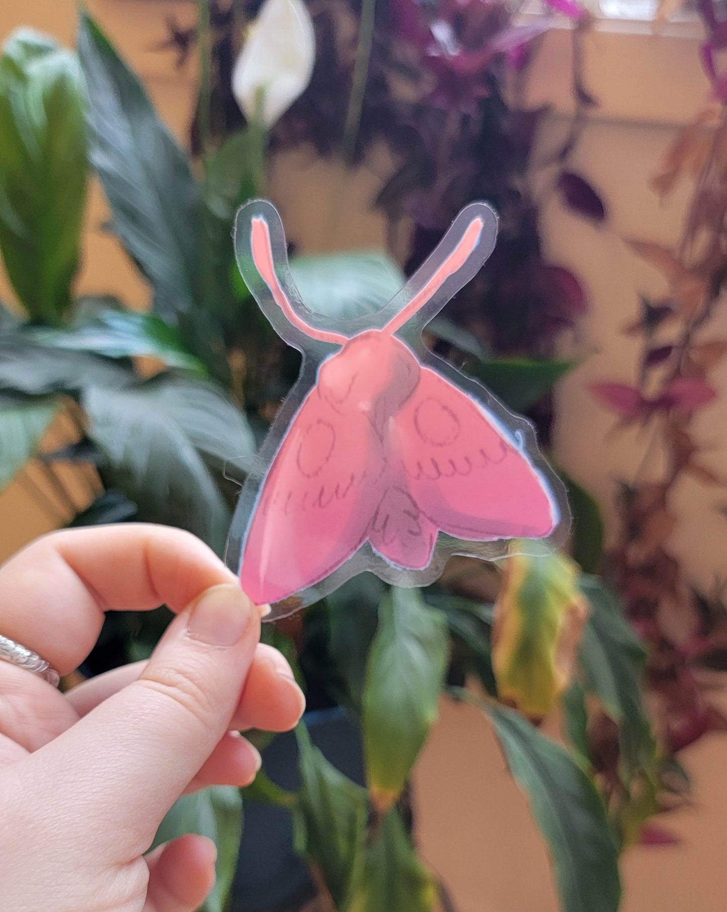 Translucent Pink Moth Sticker