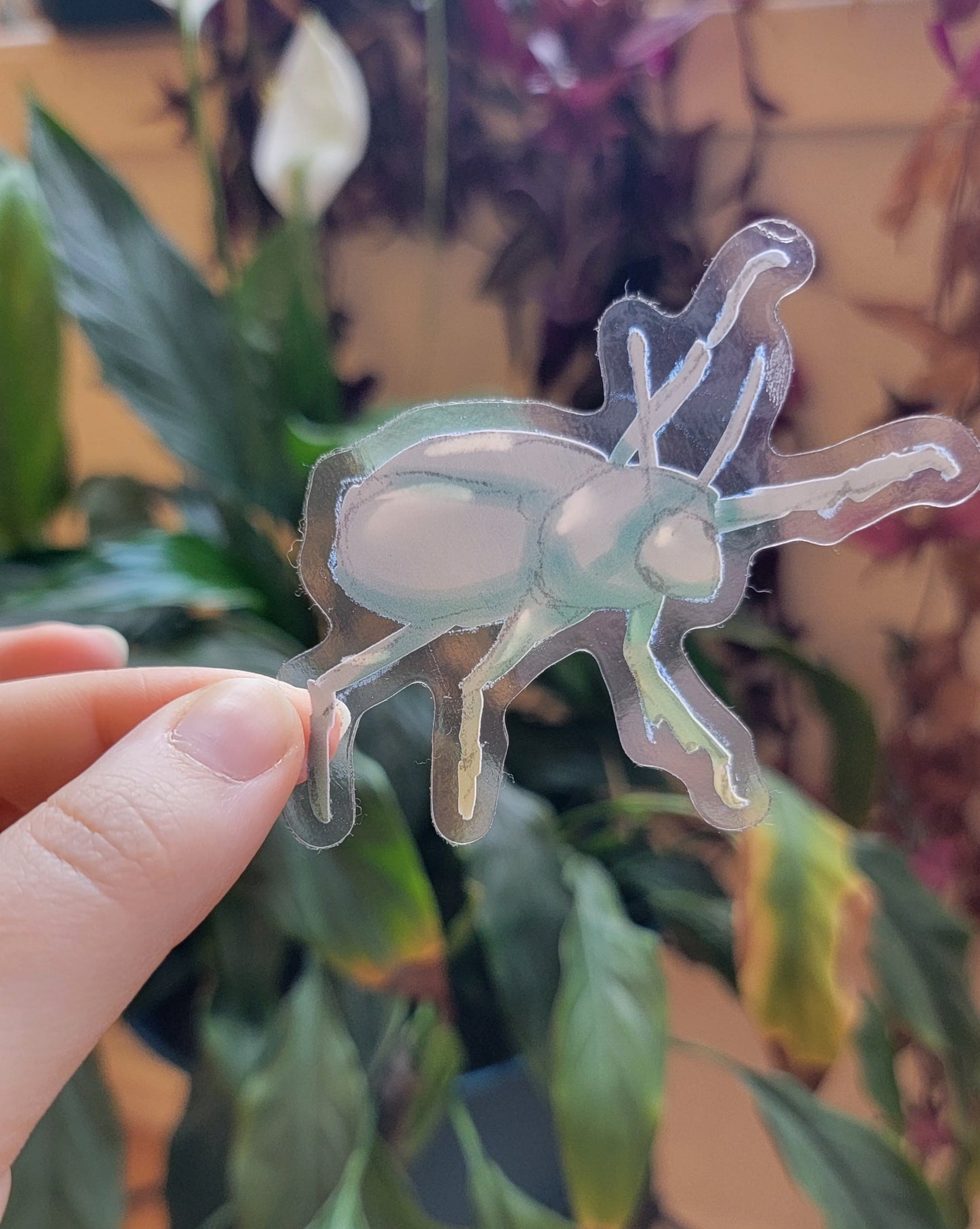 Translucent Gray Beetle Sticker