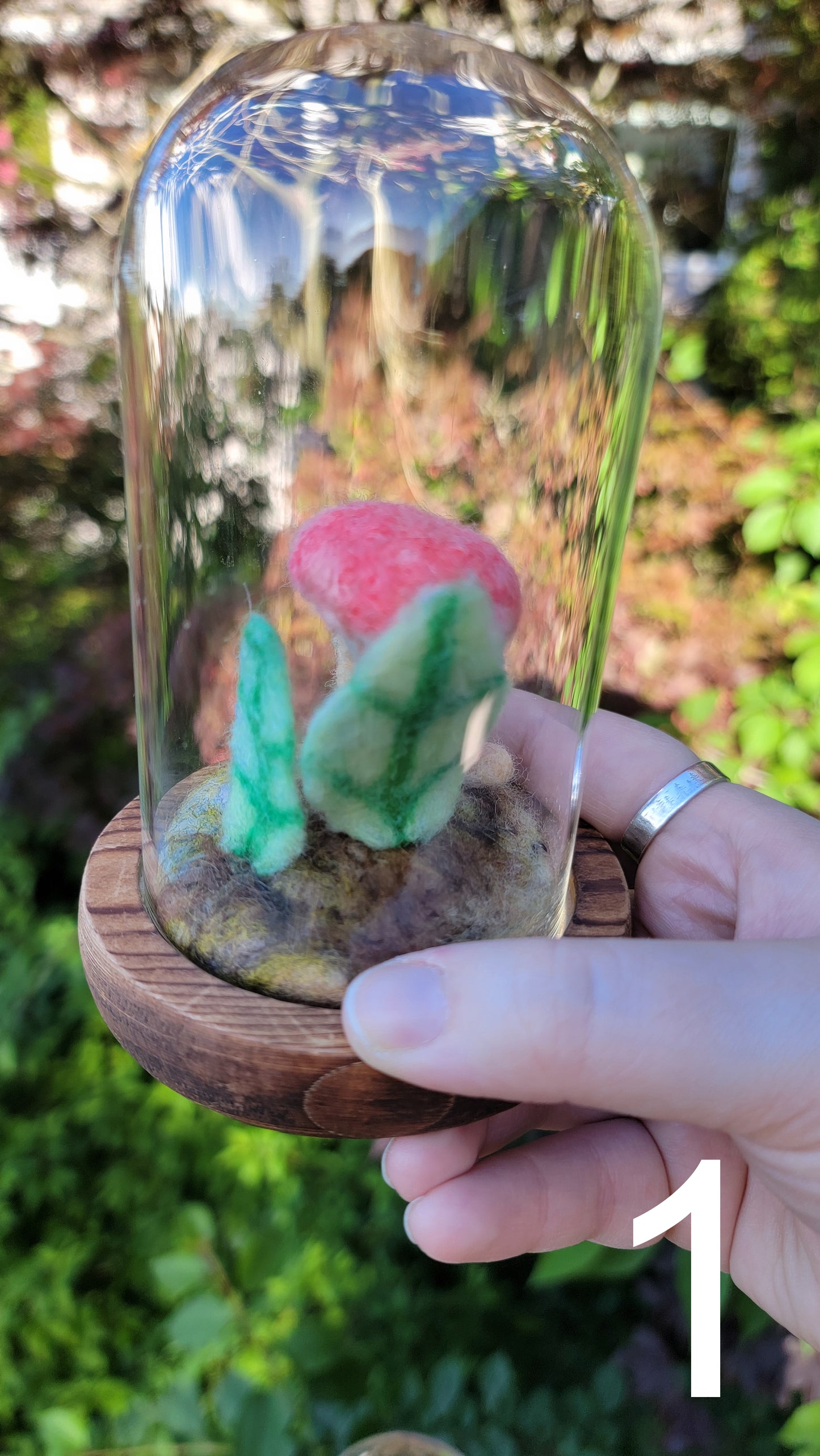 Sunrise felt terrariums