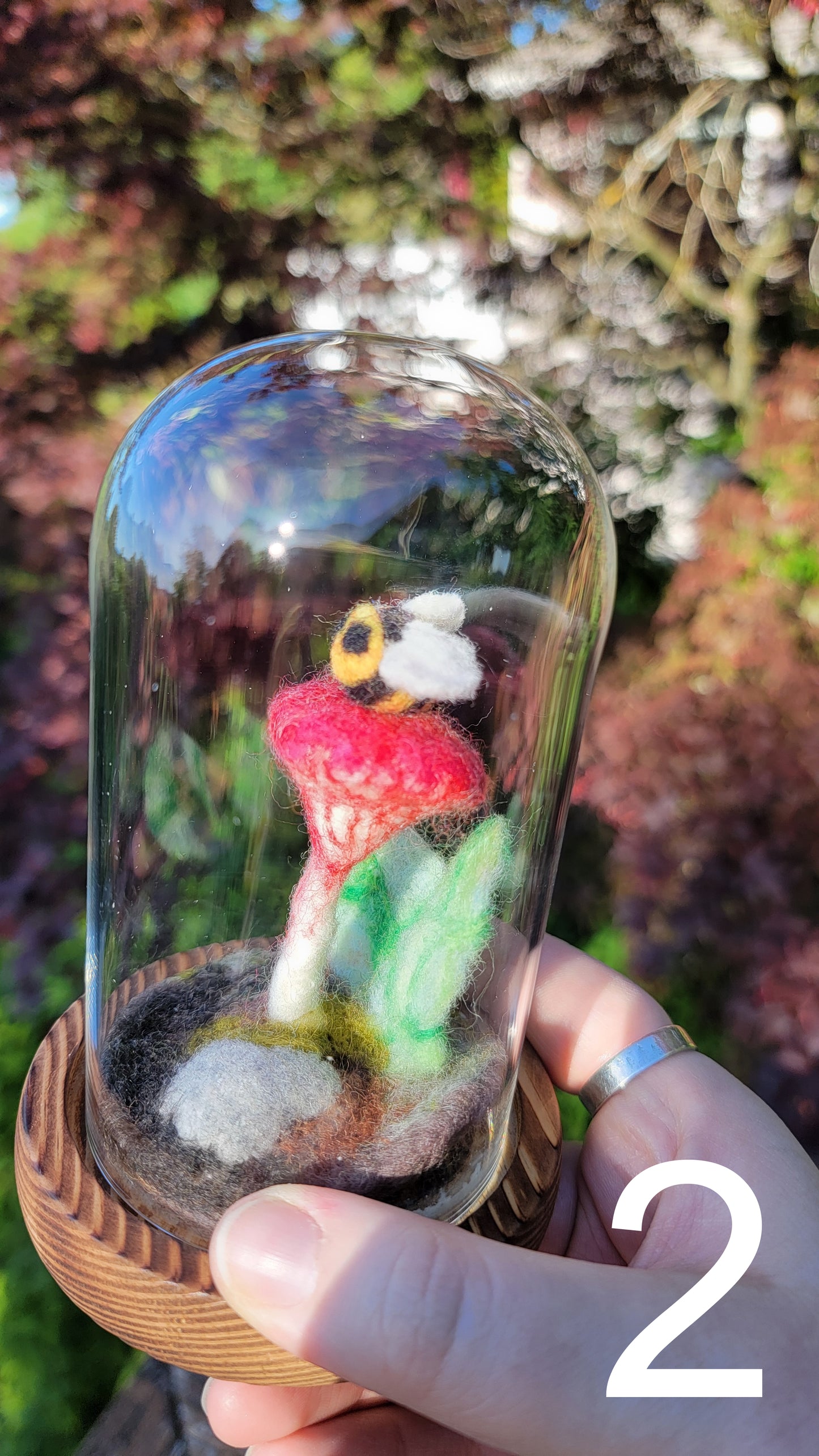 Sunrise felt terrariums