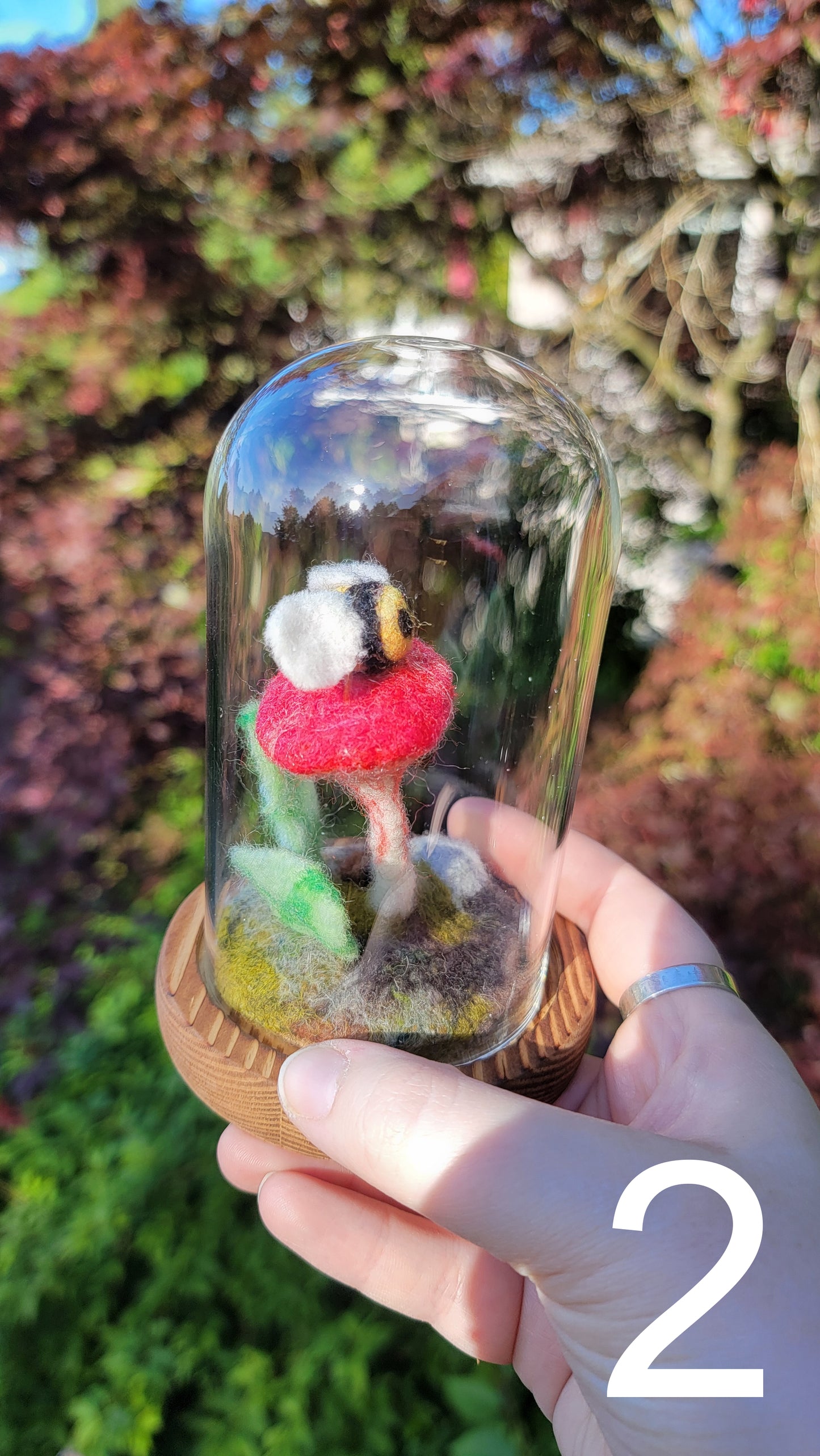 Sunrise felt terrariums