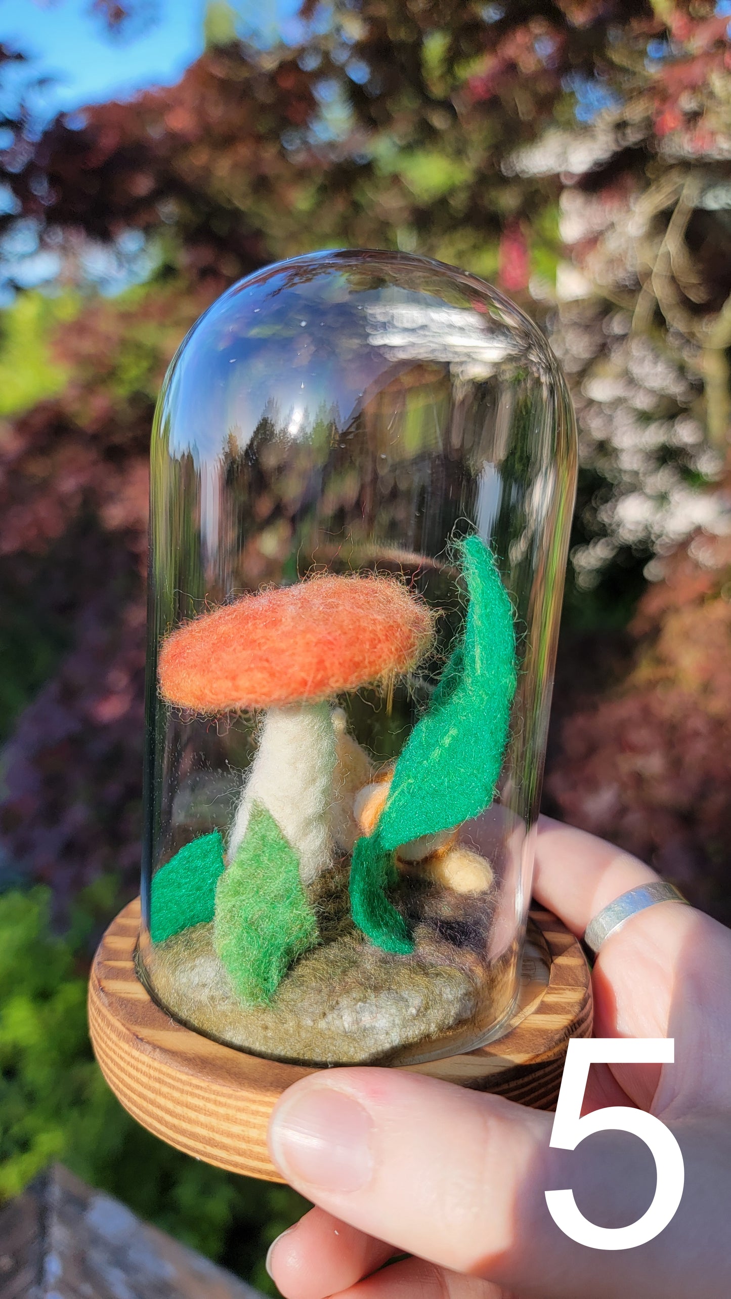 Sunrise felt terrariums