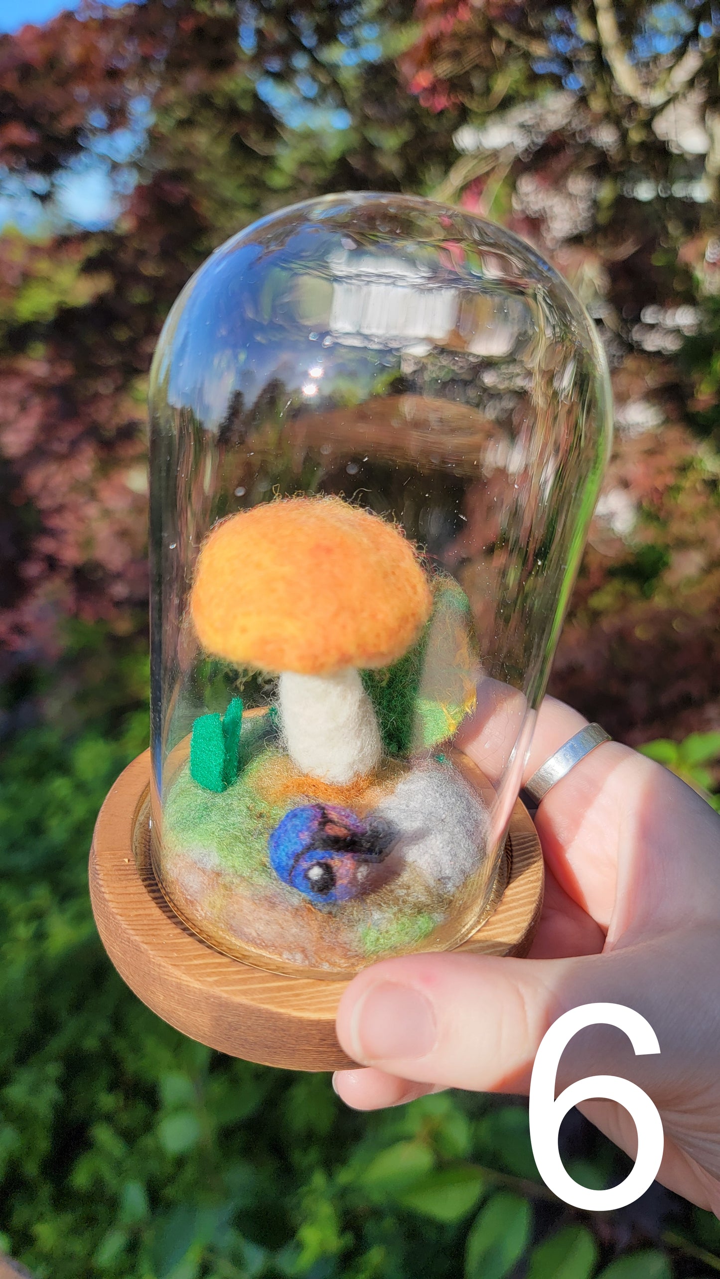 Citrus felt terrariums