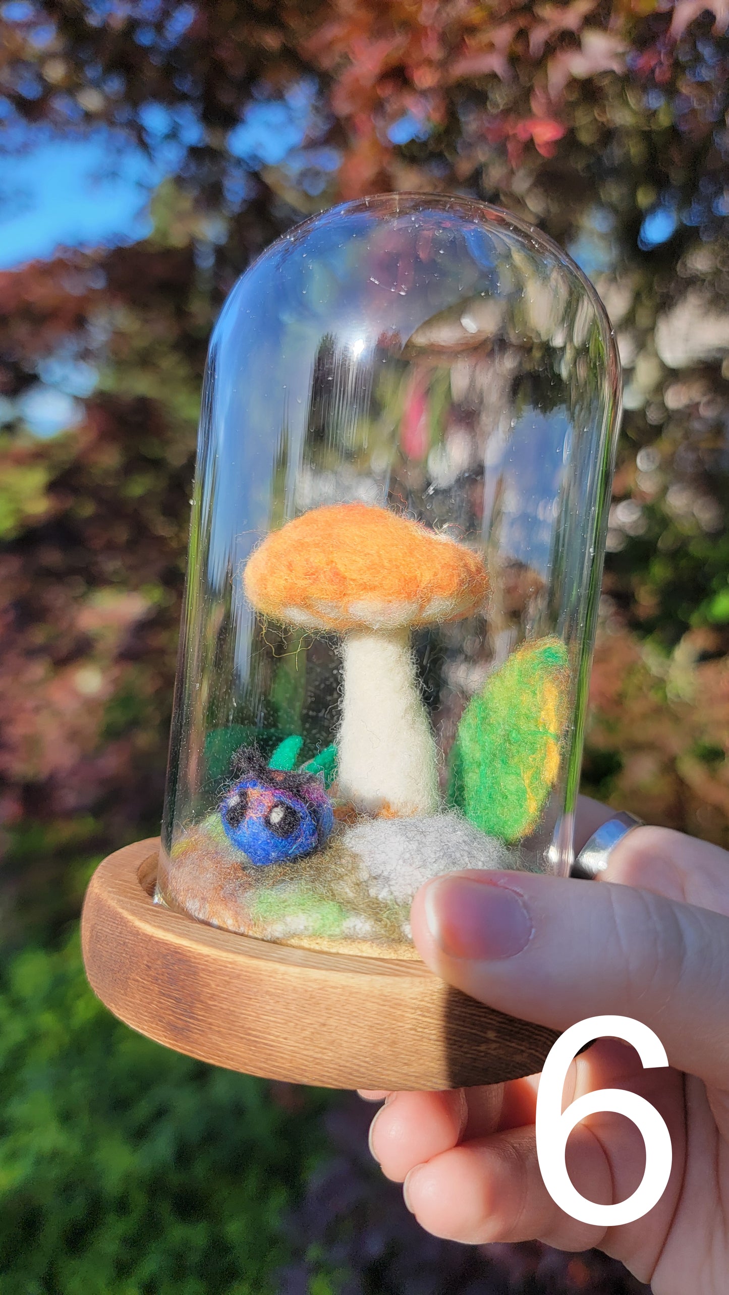 Citrus felt terrariums