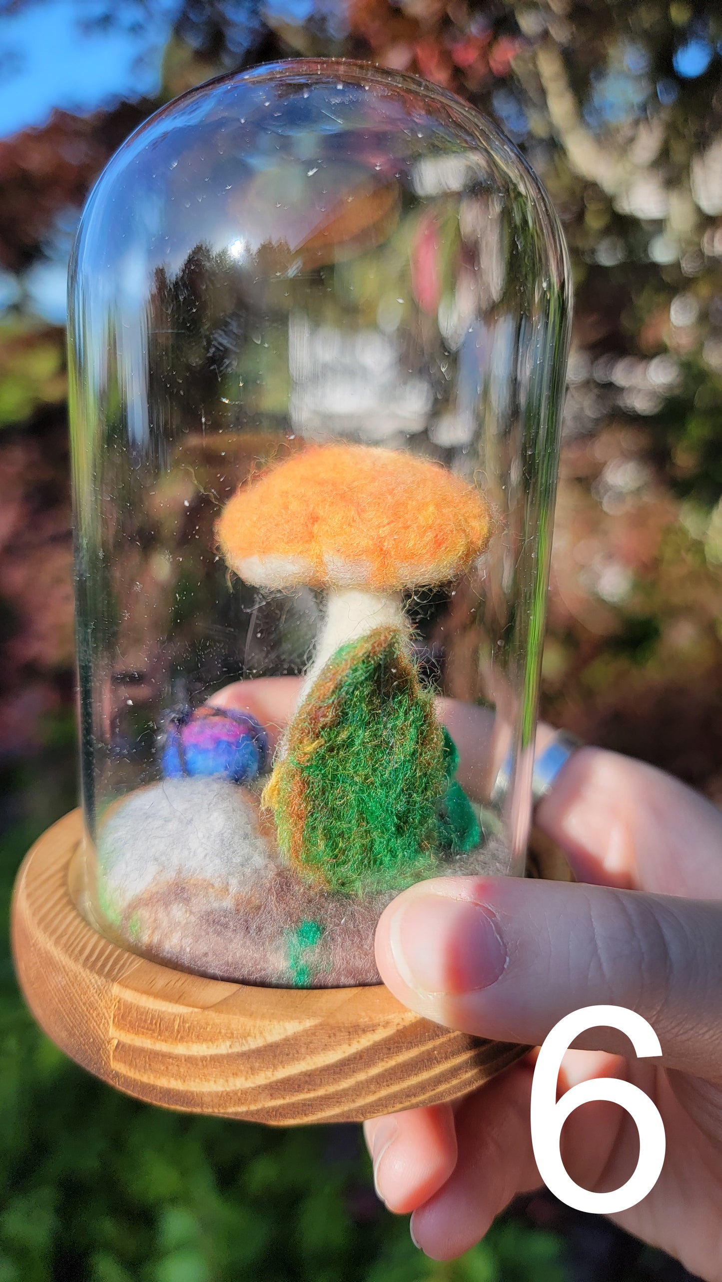 Citrus felt terrariums