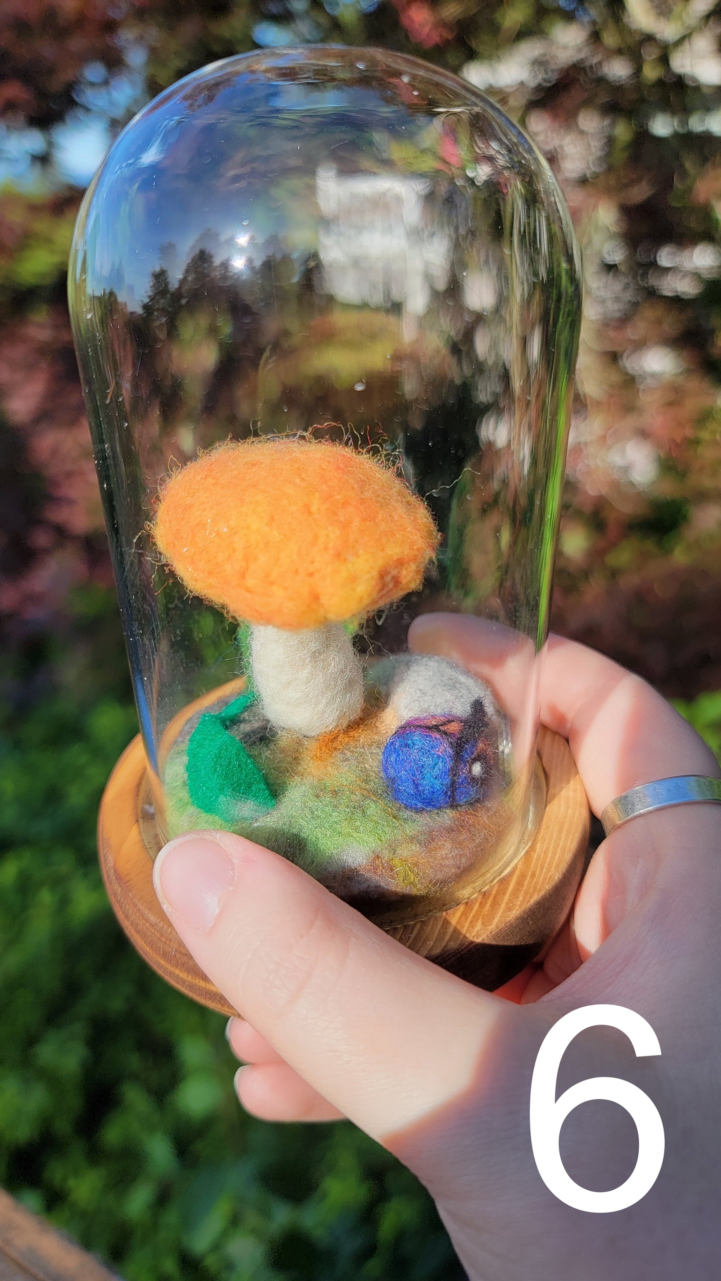 Citrus felt terrariums