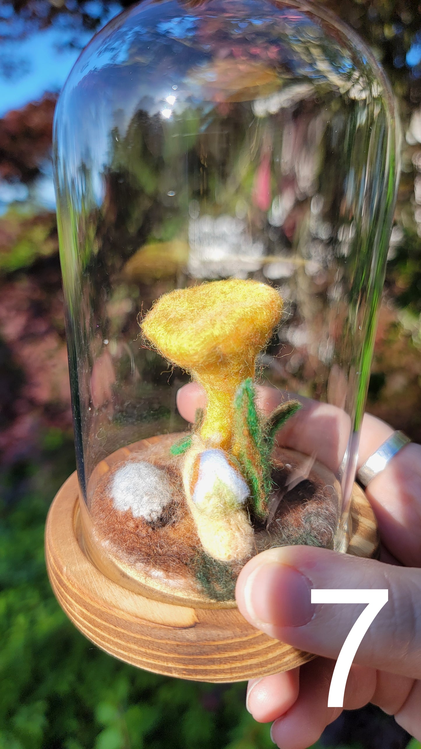 Citrus felt terrariums