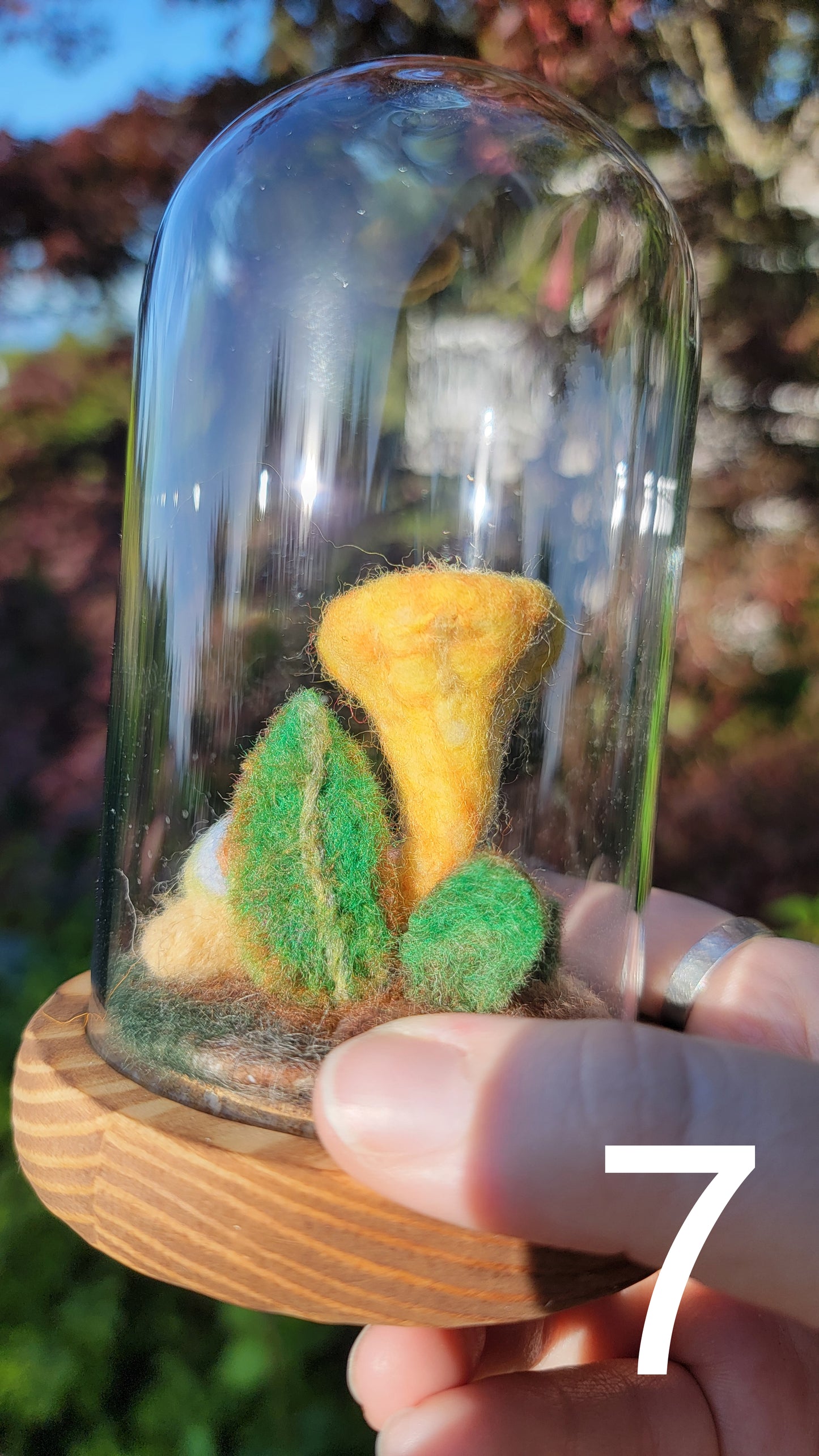 Citrus felt terrariums