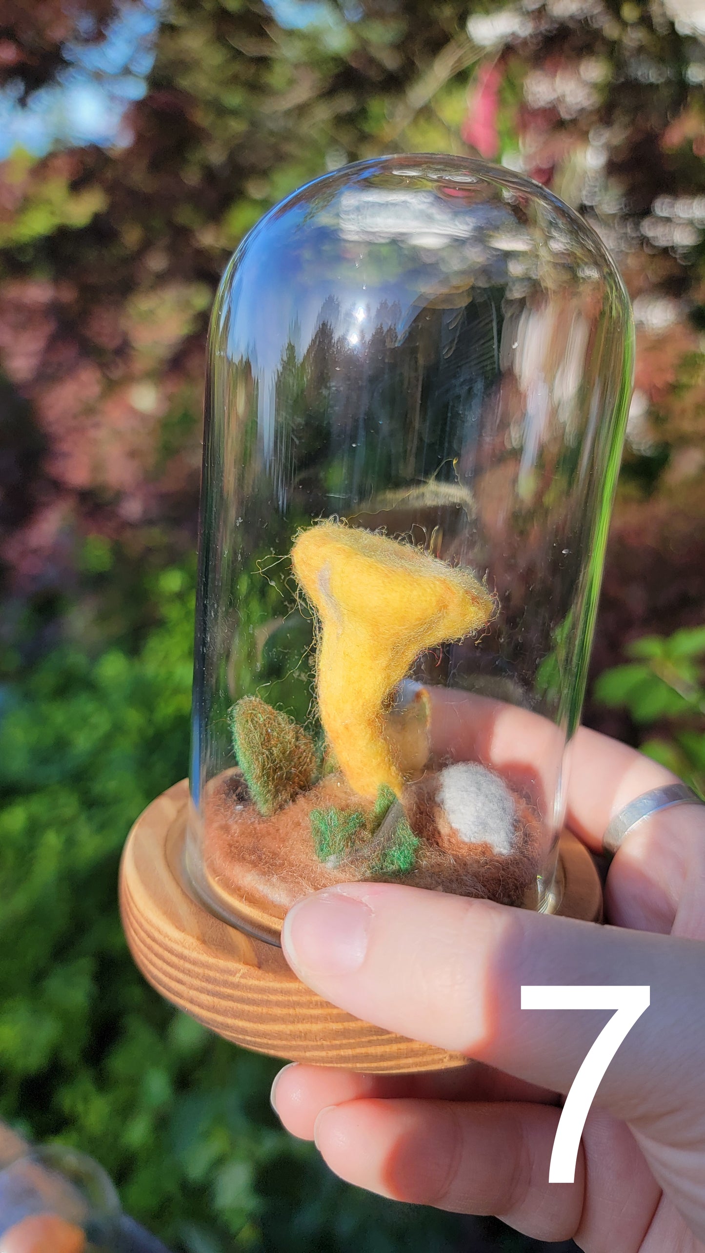 Citrus felt terrariums