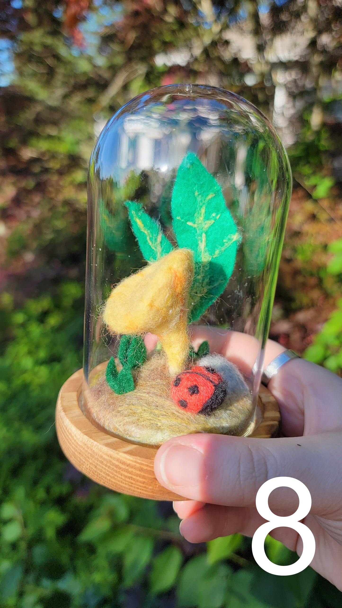 Citrus felt terrariums