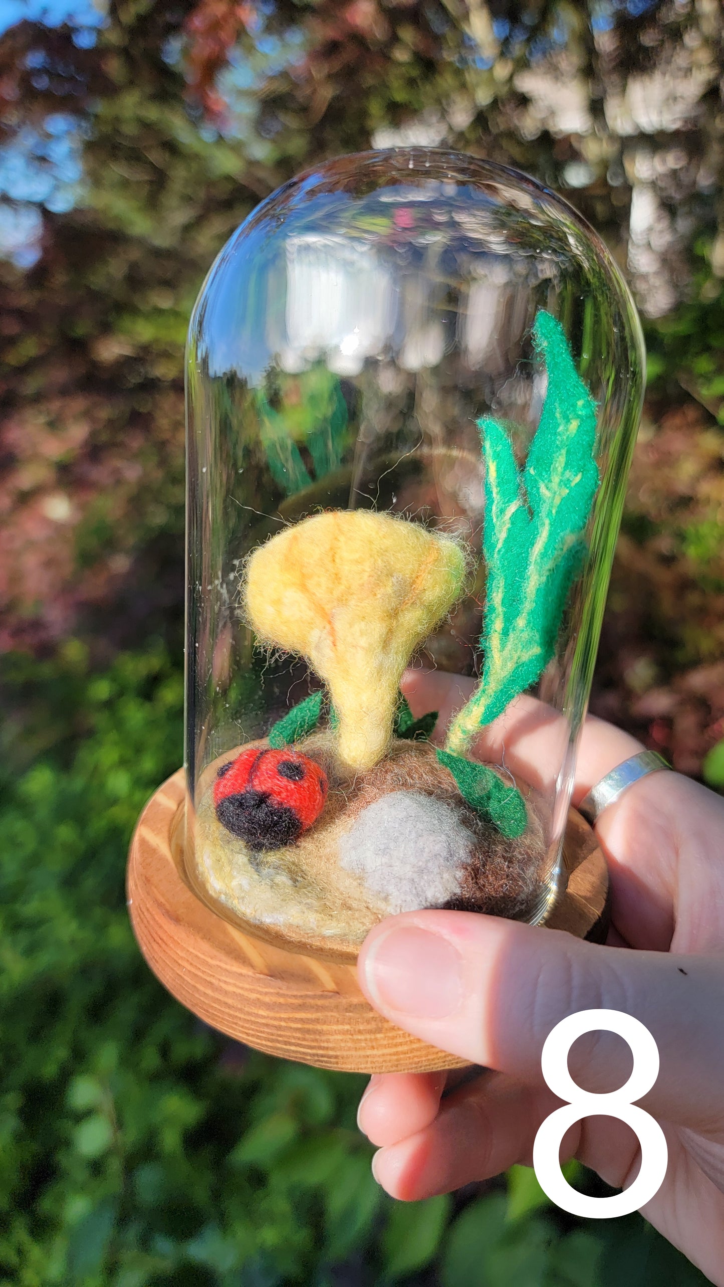 Citrus felt terrariums