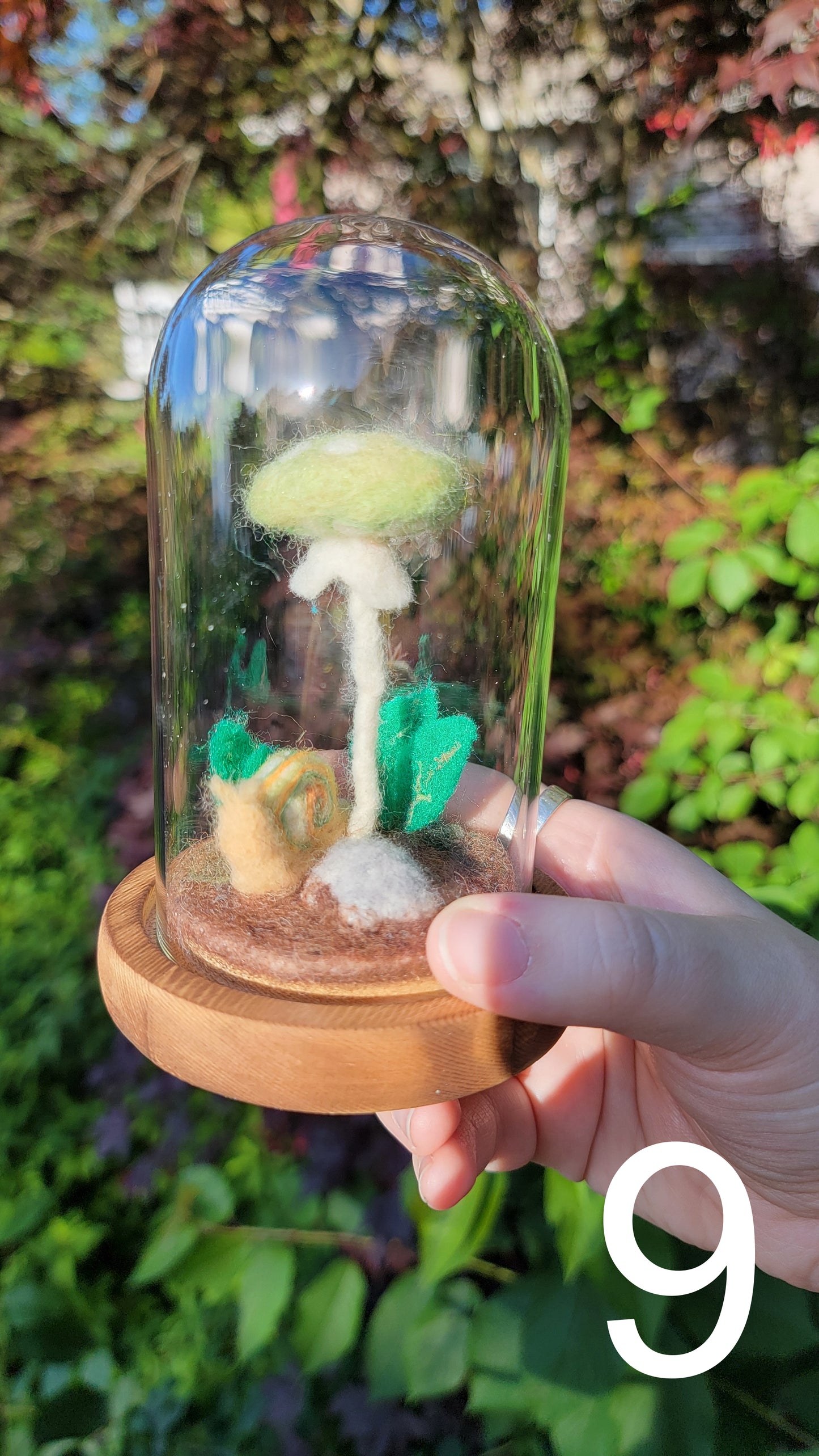 Citrus felt terrariums