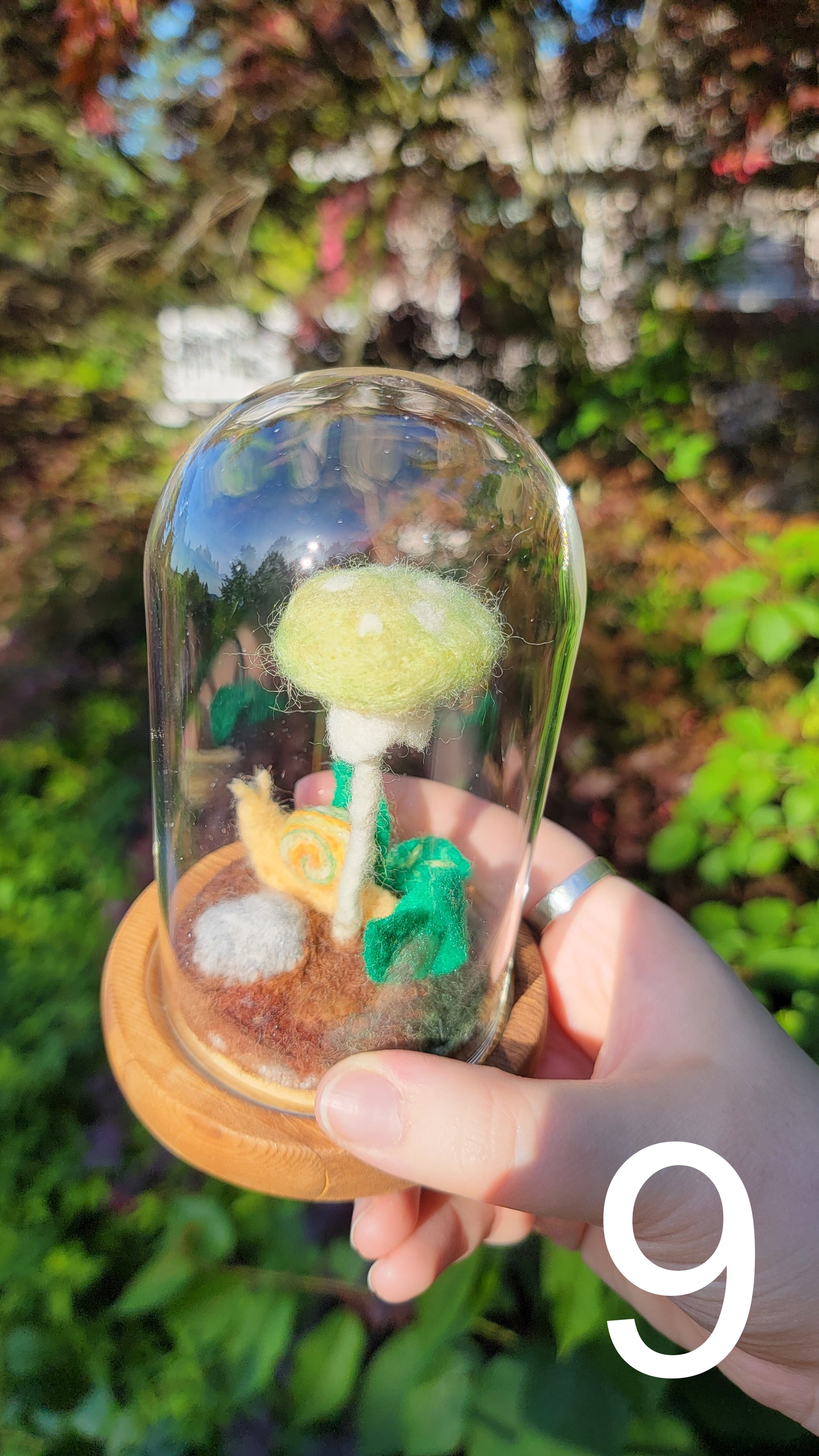 Citrus felt terrariums