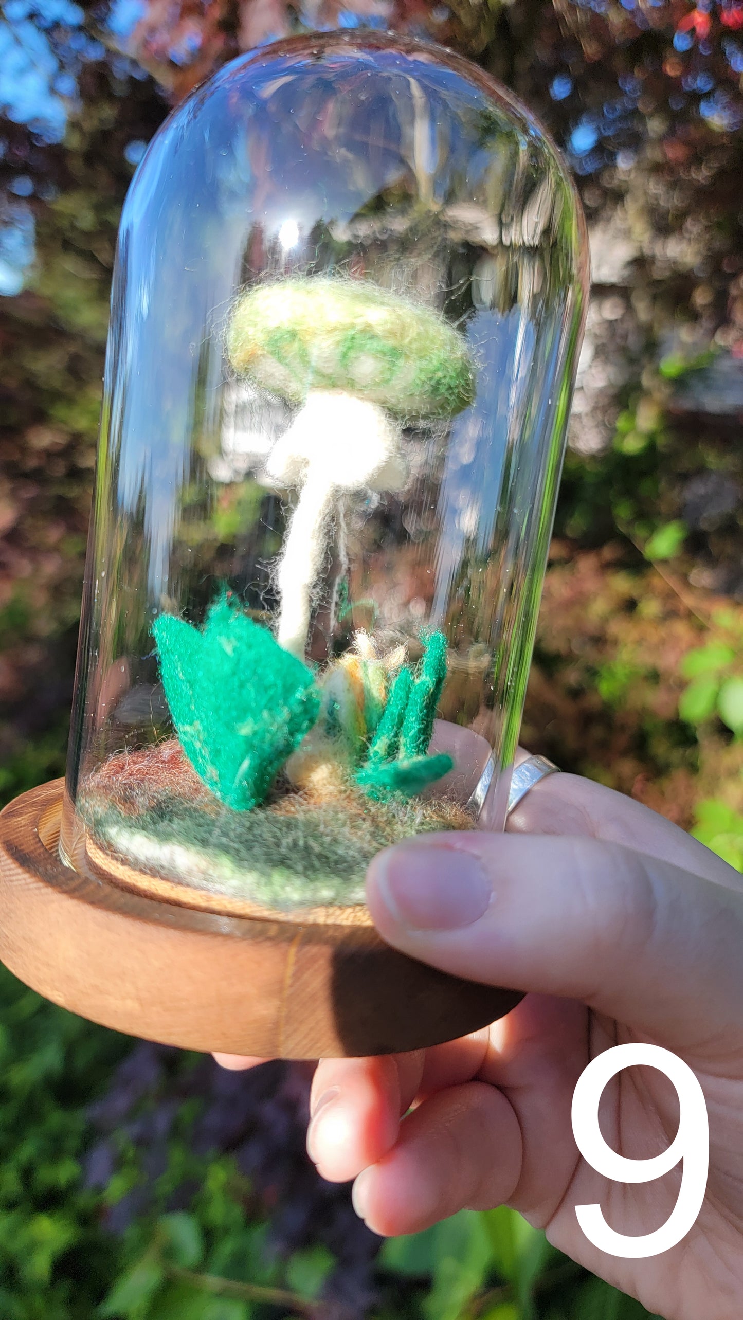 Citrus felt terrariums