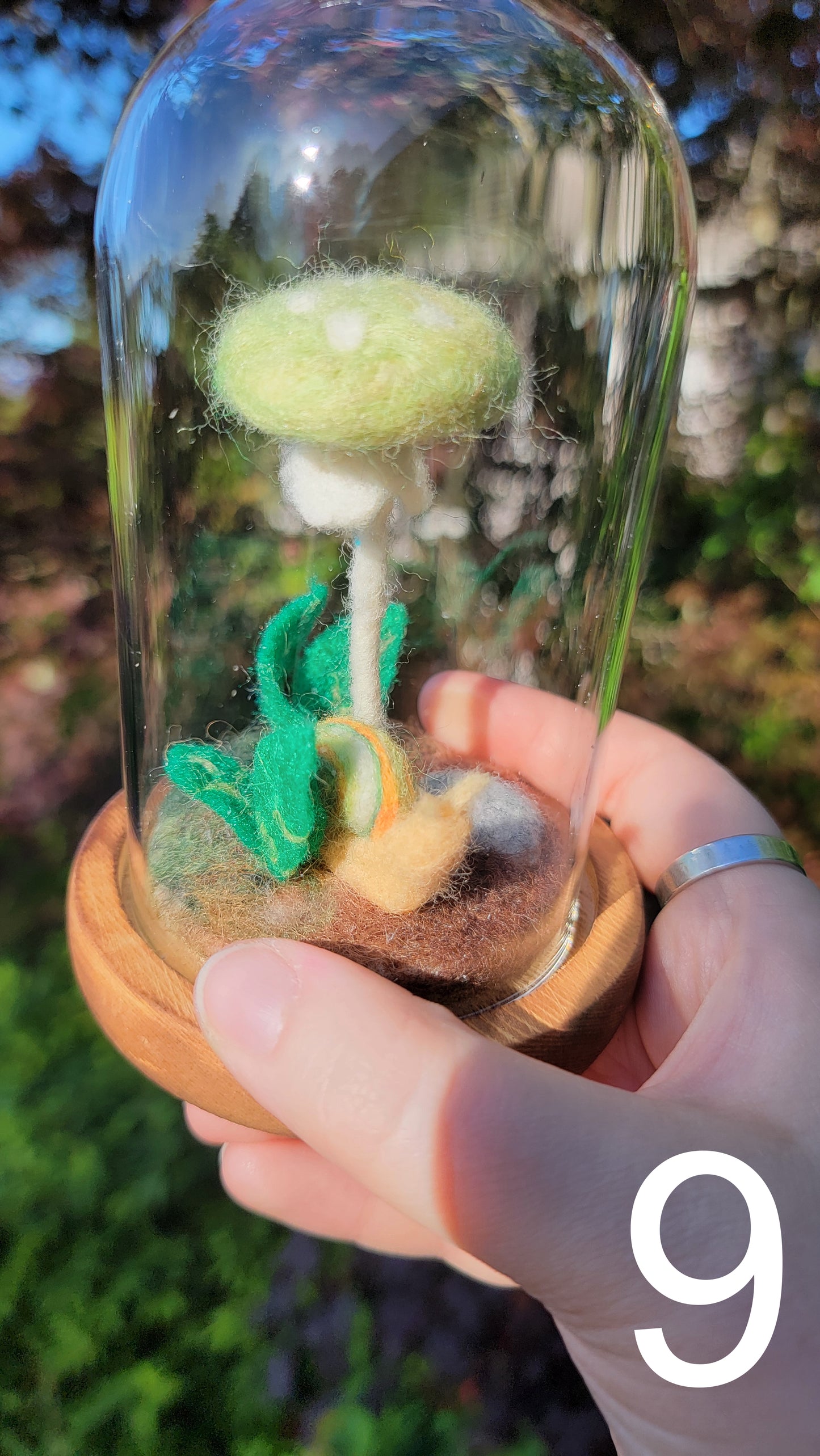 Citrus felt terrariums