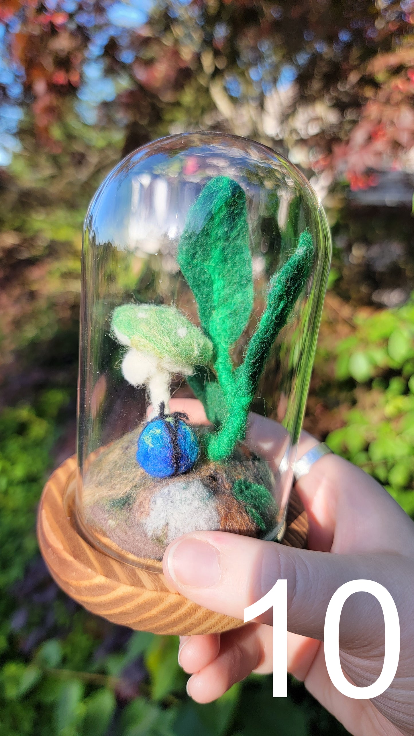 Citrus felt terrariums