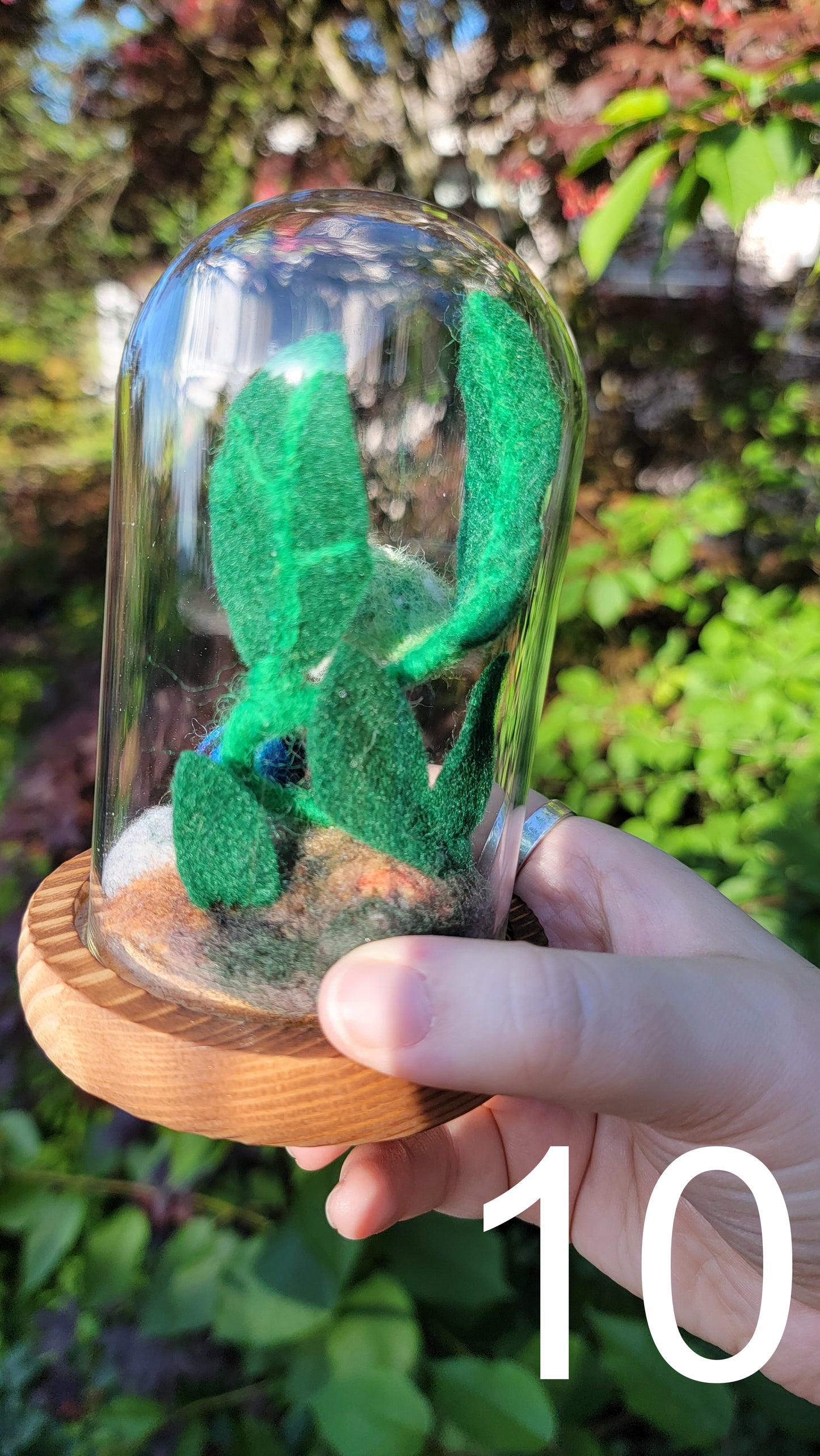 Citrus felt terrariums