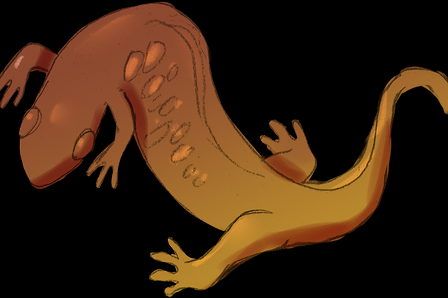 Translucent Brown Lizard Sticker