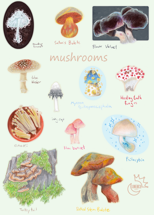 Mushrooms Sticker Sheet